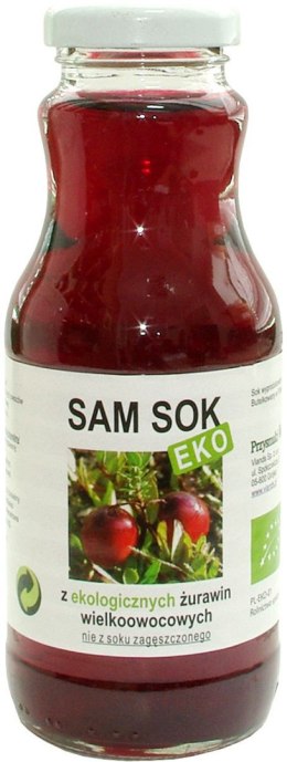 SOK Z ŻURAWINY WIELKOOWOCOWEJ NFC BIO 250 ml - VIANDS (SAM SOK) VIANDS (soki, inne)