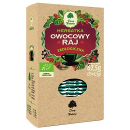 HERBATKA OWOCOWY RAJ BIO (25 x 2,5 g) 62,5 g - DARY NATURY DARY NATURY - herbatki