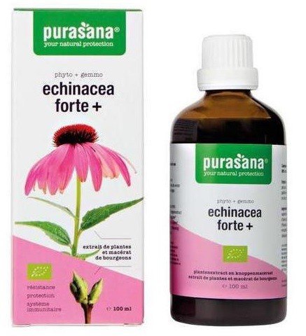 JEŻÓWKA PURPUROWA (ECHINACEA FORTE) KROPLE BIO 100 ml - PURASANA PURASANA (suplementy diety) JEŻÓWKA PURPUROWA (ECHINACEA FORTE) KROPLE BIO 100 ml - PURASANA PURASANA (suplementy diety)