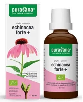 JEŻÓWKA PURPUROWA (ECHINACEA FORTE) KROPLE BIO 50 ml - PURASANA PURASANA (suplementy diety) JEŻÓWKA PURPUROWA (ECHINACEA FORTE) KROPLE BIO 50 ml - PURASANA PURASANA (suplementy diety)