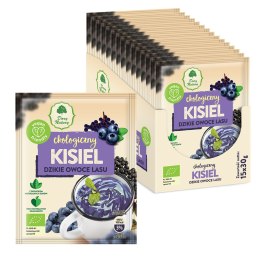 KISIEL INSTANT DZIKIE OWOCE LASU BEZGLUTENOWY BIO 30 g - DARY NATURY DARY NATURY - inne