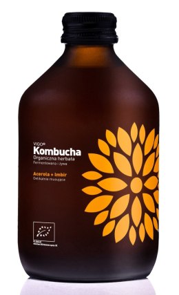 KOMBUCHA Z ACEROLĄ I IMBIREM BEZGLUTENOWA BIO 330 ml - VIGO VIGO YOKO (kombucha)