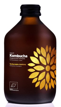 KOMBUCHA Z YERBĄ MATE BEZGLUTENOWA BIO 330 ml - VIGO VIGO YOKO (kombucha)