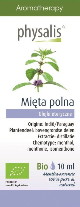 OLEJEK ETERYCZNY MIĘTA POLNA BIO 10 ml - PHYSALIS PHYSALIS (olejki eteryczne, suplementy)