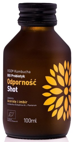 SHOT KOMBUCHA PROBIOTYK ODPORNOŚĆ BEZGLUTENOWY BIO 100 ml - VIGO VIGO YOKO (kombucha)