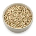 KASZA GRYCZANA NIEPALONA BEZGLUTENOWA BIO 500 g - THE PLANET THE PLANET