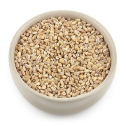 KASZA JĘCZMIENNA PĘCZAK BIO 500 g - THE PLANET THE PLANET