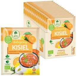 KISIEL INSTANT PIGWOWIEC Z POMARAŃCZĄ BEZGLUTENOWY BIO 30 g - DARY NATURY DARY NATURY - inne