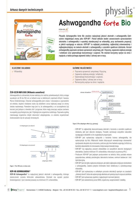 ASHWAGANDHA FORTE EKSTRAKT BIO (600 mg) 30 TABLETEK - PHYSALIS PHYSALIS (olejki eteryczne, suplementy) ASHWAGANDHA FORTE EKSTRAKT BIO (600 mg) 30 TABLETEK - PHYSALIS PHYSALIS (olejki eteryczne, suplementy)
