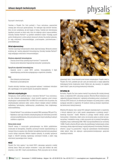 CYNK FORTE 30 TABLETEK - PHYSALIS PHYSALIS (olejki eteryczne, suplementy) CYNK FORTE 30 TABLETEK - PHYSALIS PHYSALIS (olejki eteryczne, suplementy)