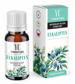 OLEJEK ETERYCZNY EUKALIPTUS 10 ml - YOUR CANDLE YOUR CANDLE (świece, olejki eteryczne)