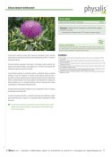 OSTROPEST PLAMISTY FORTE 45 TABLETEK - PHYSALIS PHYSALIS (olejki eteryczne, suplementy)